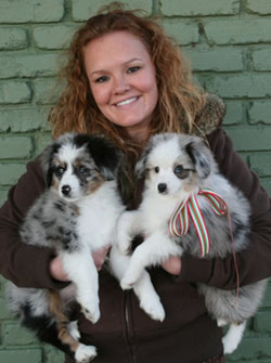 a woman holding two mini Aussie puppies