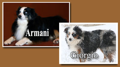 Giorgio & Armani Parent Photo