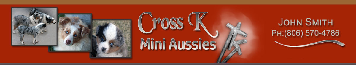 Cross K Mini Aussies website banner